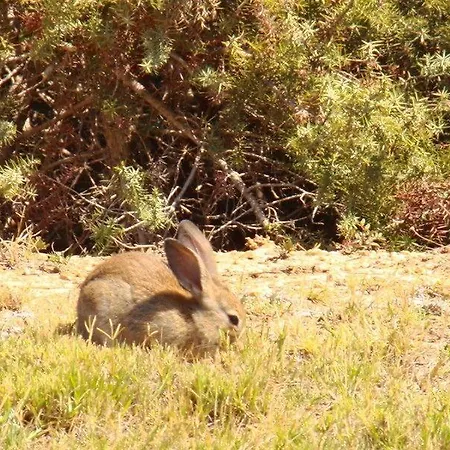 Kalimera Paros 3* Σάντα Μαρία